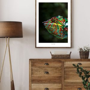 63-Caméléon