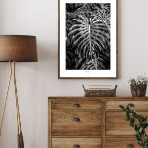 91-Philodendron